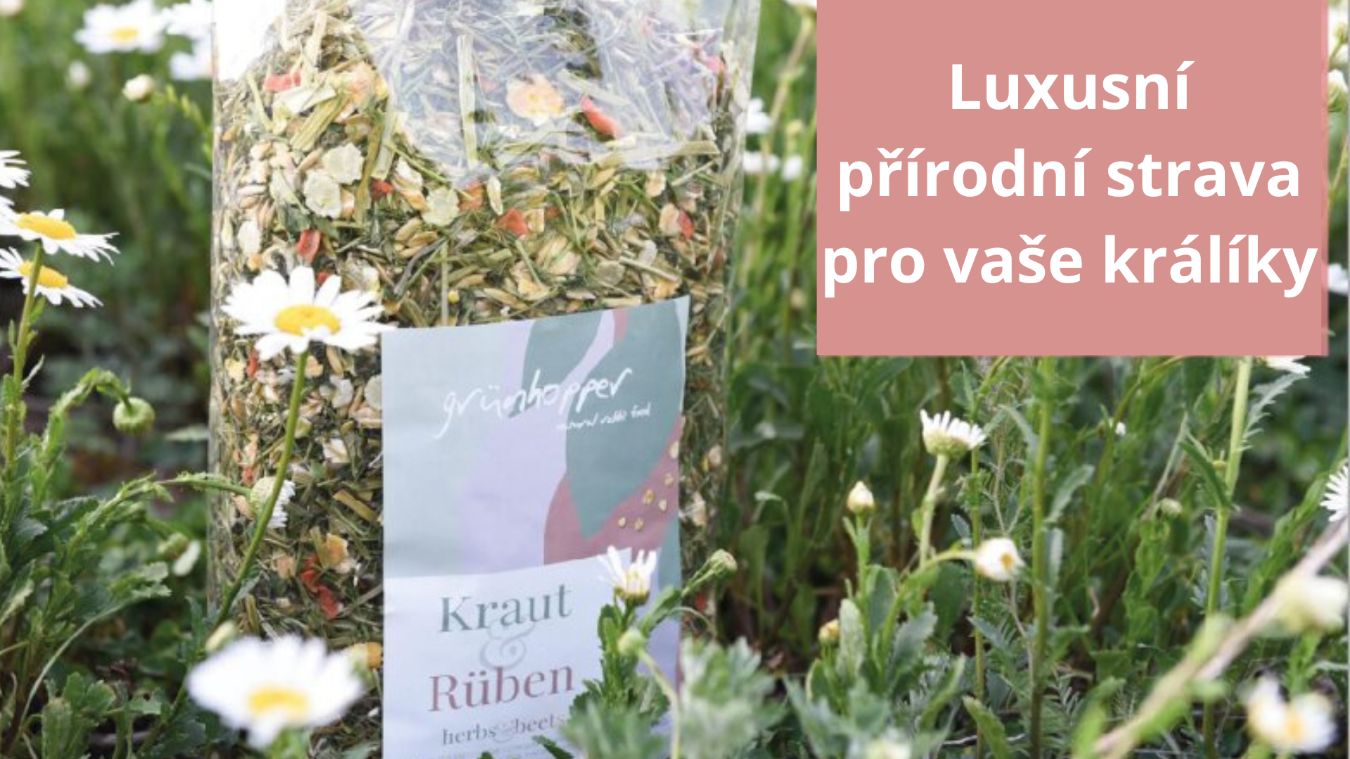 Přidat nadpis (3)